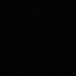 Meet your Posher, Hollis